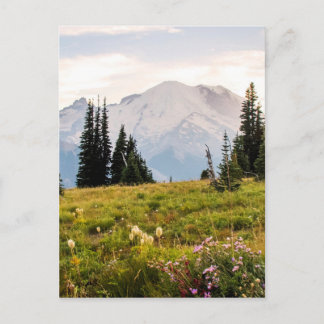 Cartão Postal Sunrise Mt. Rainier Gifts