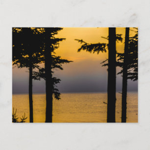 Cartão Postal Sunrise na Baía de Gouldsboro, Maine