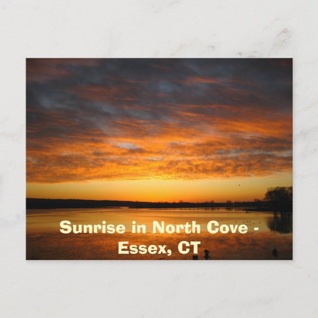 Cartão Postal Sunrise na North Cove - Essex, CT (Frente)