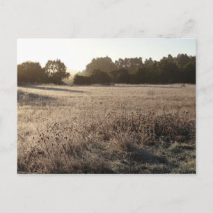 Cartão Postal Sunrise na paisagem da Trailhead do Vale do Urso