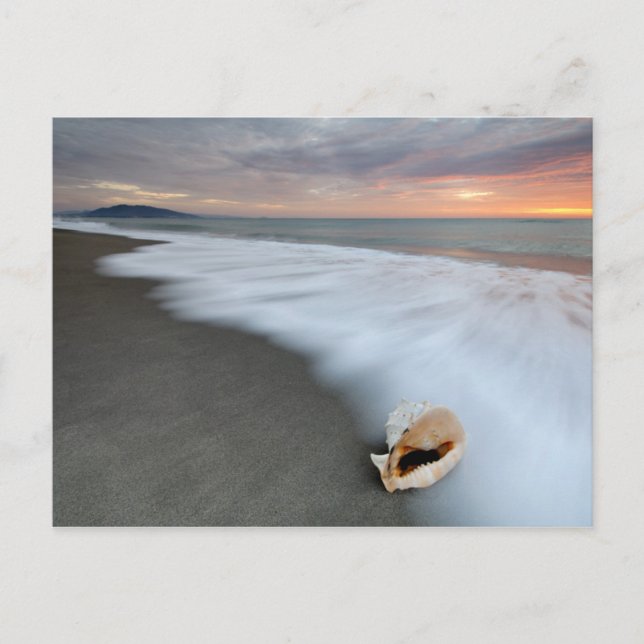 Cartão Postal Sunrise Na Praia E Uma Shell (Frente)