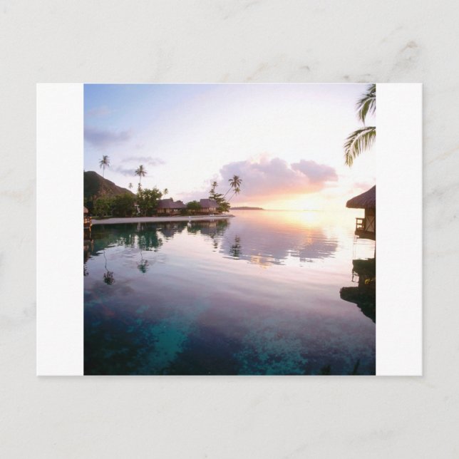 Cartão Postal Sunrise Palmilla Coast Cabo San Lucas México (Frente)