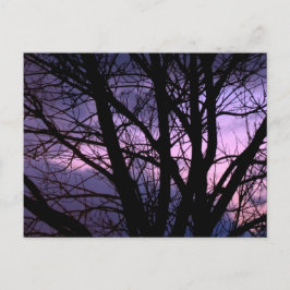 Cartão postal sunset