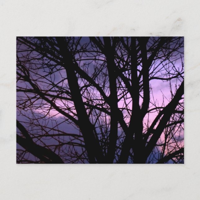 Cartão postal sunset (Frente)