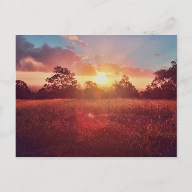 Cartão Postal Sunset (Frente)