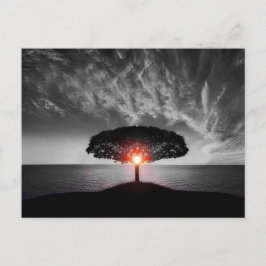 Cartão Postal Sunset