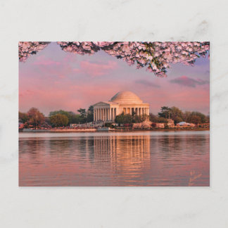 Cartão Postal Sunset at Jeferson Memorial with Cherry Blossoms
