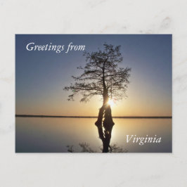 Cartão Postal Sunset Atrás de Árvore