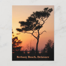 Cartão postal Sunset Bethany