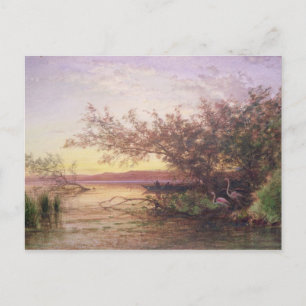 Cartão Postal Sunset, Camargue