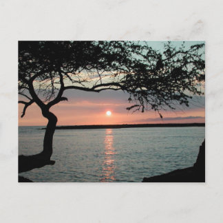 Cartão Postal Sunset Carmel.