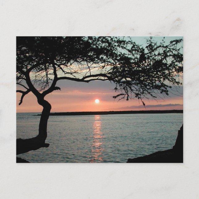 Cartão Postal Sunset Carmel. (Frente)