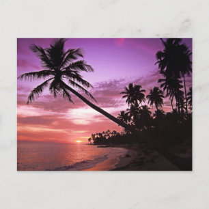 Cartão Postal Sunset Cênico