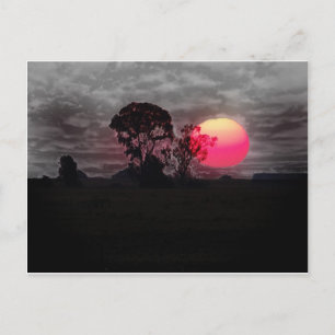 Cartão Postal Sunset com Árvore