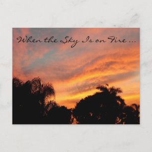 Cartão postal Sunset da Flórida / Quando o céu est