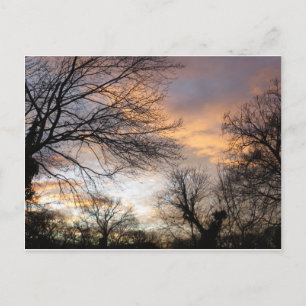 Cartão Postal Sunset de inverno
