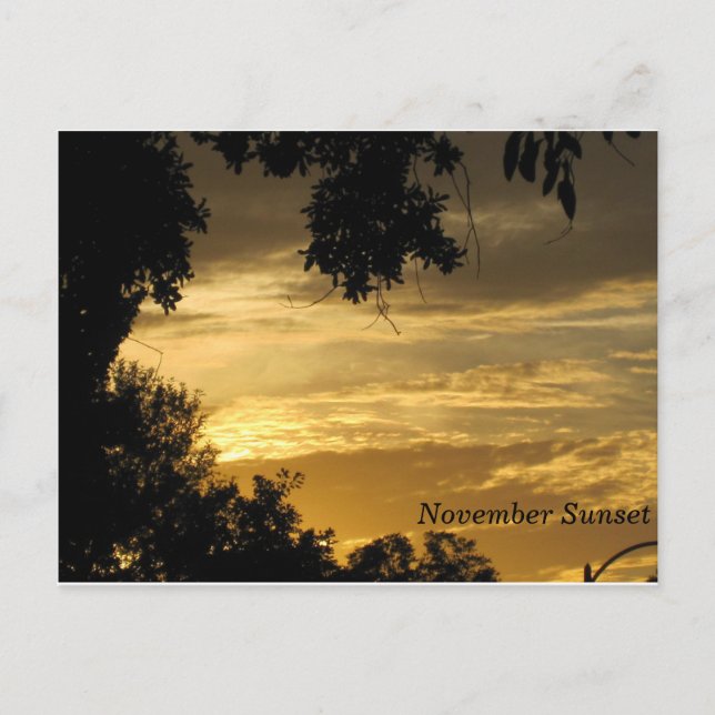 Cartão postal Sunset de novembro (Frente)