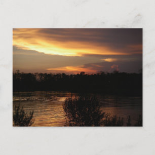 Cartão postal Sunset de ouro