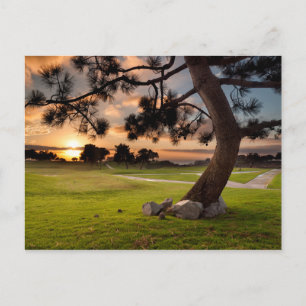 Cartão Postal Sunset do Curso de Golfe