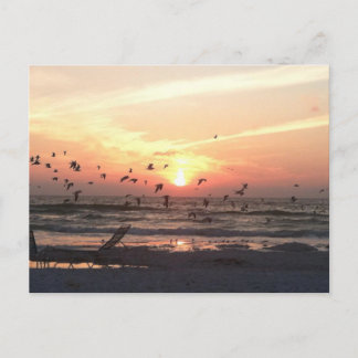 Cartão Postal Sunset e Seagulls no Imagem de Praia