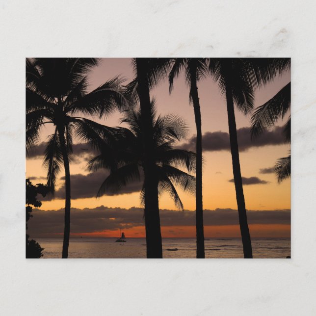 Cartão Postal Sunset Havaiano (Frente)