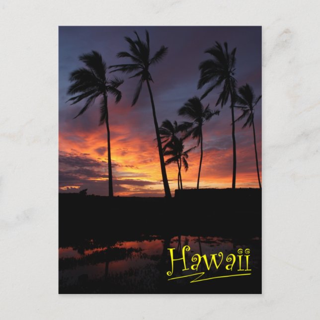 Cartão Postal Sunset Havaiano no Local de Refúgio (Frente)