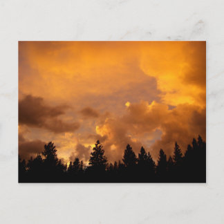 Cartão Postal Sunset in the Sierras - Cartão-postal