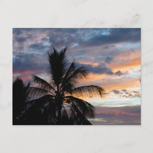 Cartão postal Sunset Kona (Frente)