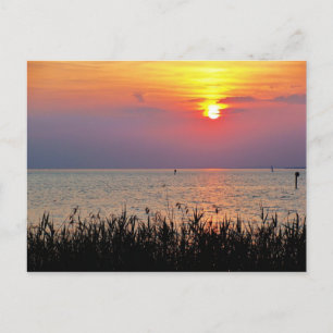 Cartão Postal Sunset no lago Constance em Vorarlberg