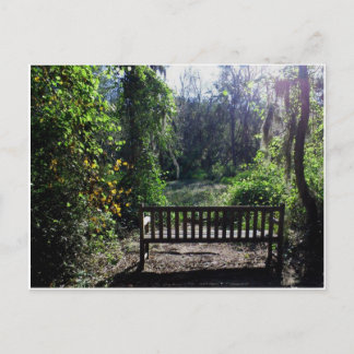 Cartão Postal Sunset no Phinizy Swamp Park Augusta, GA