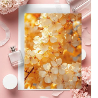 Cartão Postal Sunset Serenity" Landscape Art Postcard | Premium