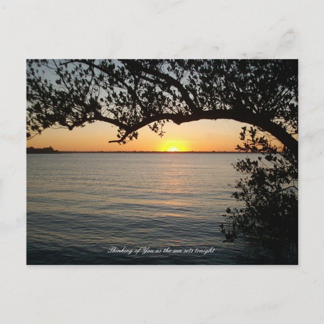Cartão Postal Sunset sob árvore (Frente)