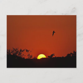 Cartão Postal Sunset Sobre O Marsh