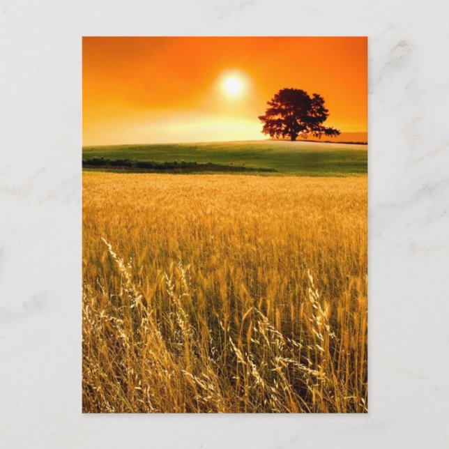 Cartão Postal Sunset Vermelho Sanguíneo (Frente)