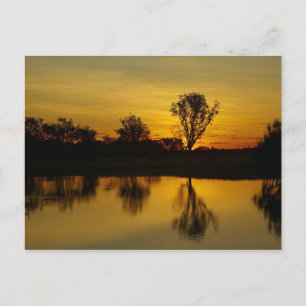 Cartão Postal Sunset, Yellow Water Billabong