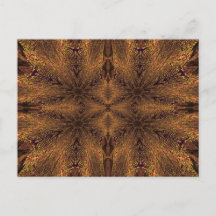 SUNSHINE ESPIRITUAL 44