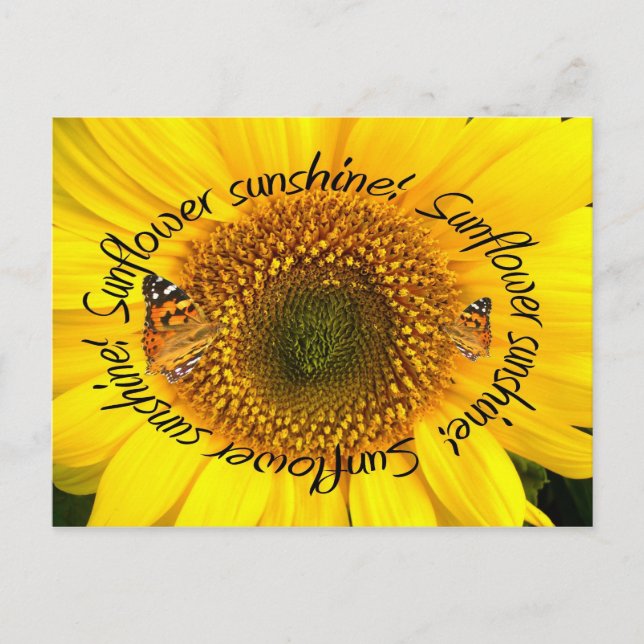 Cartão Postal SUNSHINE ~ POstcard (Frente)