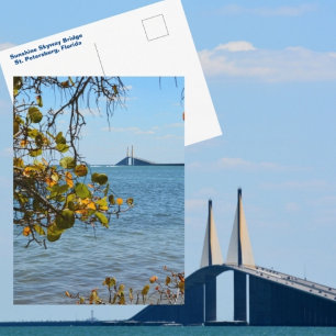 Cartão Postal Sunshine Skyway Bridge Rua Fotográfica Petersburgo
