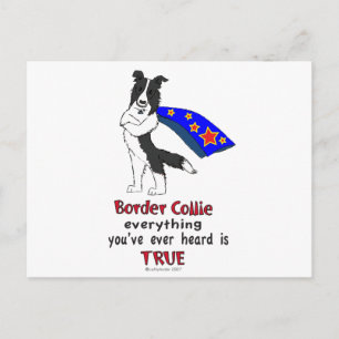 Cartão Postal super Borda Collie preto