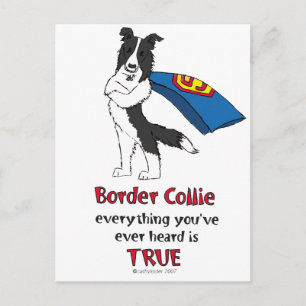 Cartão Postal Super Border Collie Black