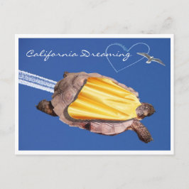 Cartão Postal Super! Gammie the California Desert Tortoise