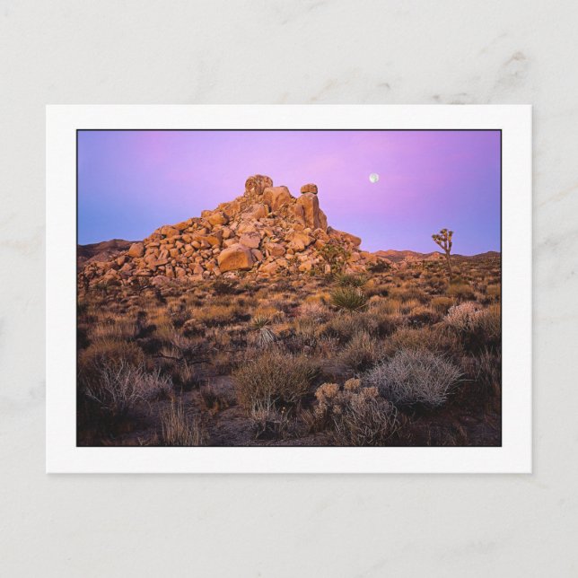 Cartão Postal "Super-Lua Manhã" (Frente)