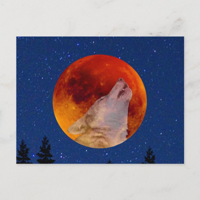 Cartão Postal Super Sangue Wolf Moon 2019 (Frente)