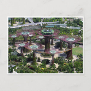 Cartão Postal superárvores singapura
