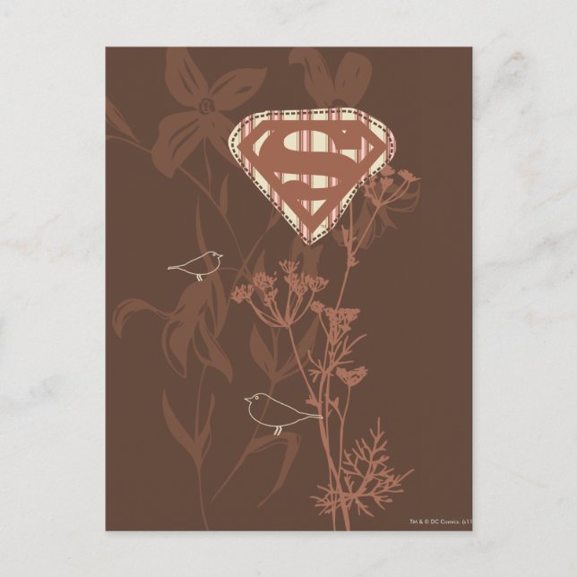 Cartão Postal Supergirl Brown Bird (Frente)