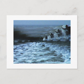 CARTÃO POSTAL SURF 2