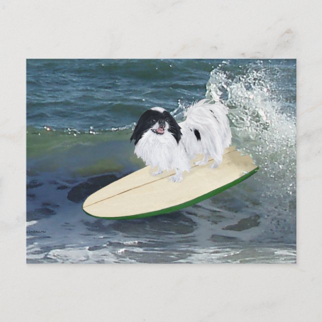 Cartão Postal Surfando Chin Japonês (Frente)