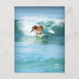 Cartão Postal Surfer De Esquilo No Mar