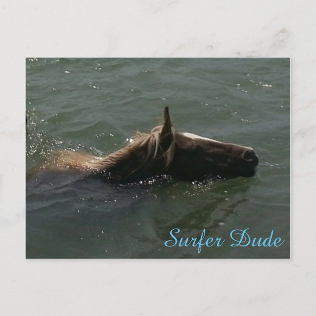 Cartão postal Surfer Dude (Frente)