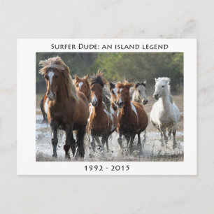 Cartão Postal Surfer E Sua Banda